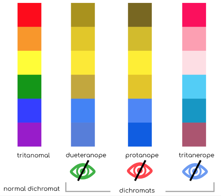 Chart of primary colours showing different versions based on a person's colour blindness